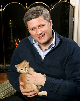 The new soft fuzzy Stephen Harper and cat. Note that the cat’s severed head is just resting on the body.