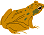golden frog