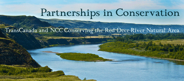 Visit the Nature Conservancy of Canada